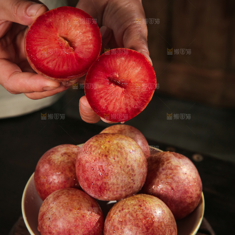 恐龙蛋李