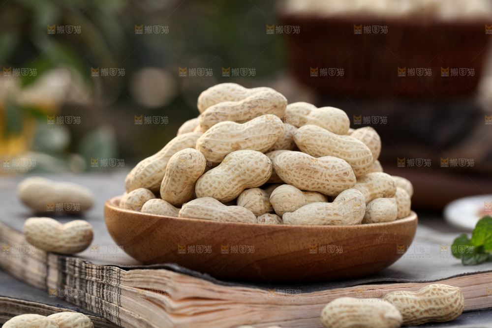 小珍珠花生