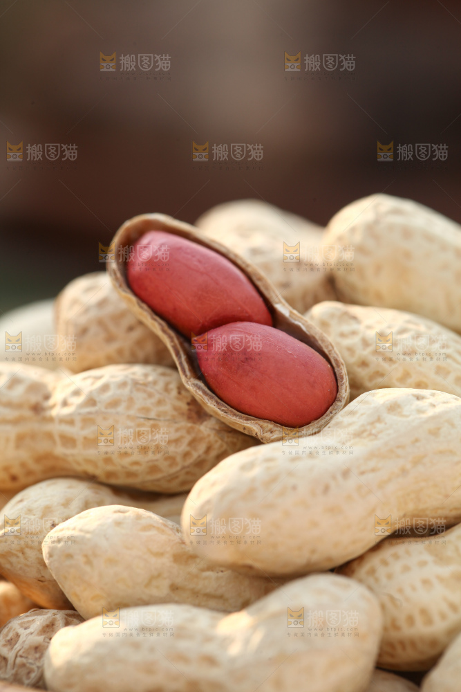小珍珠花生