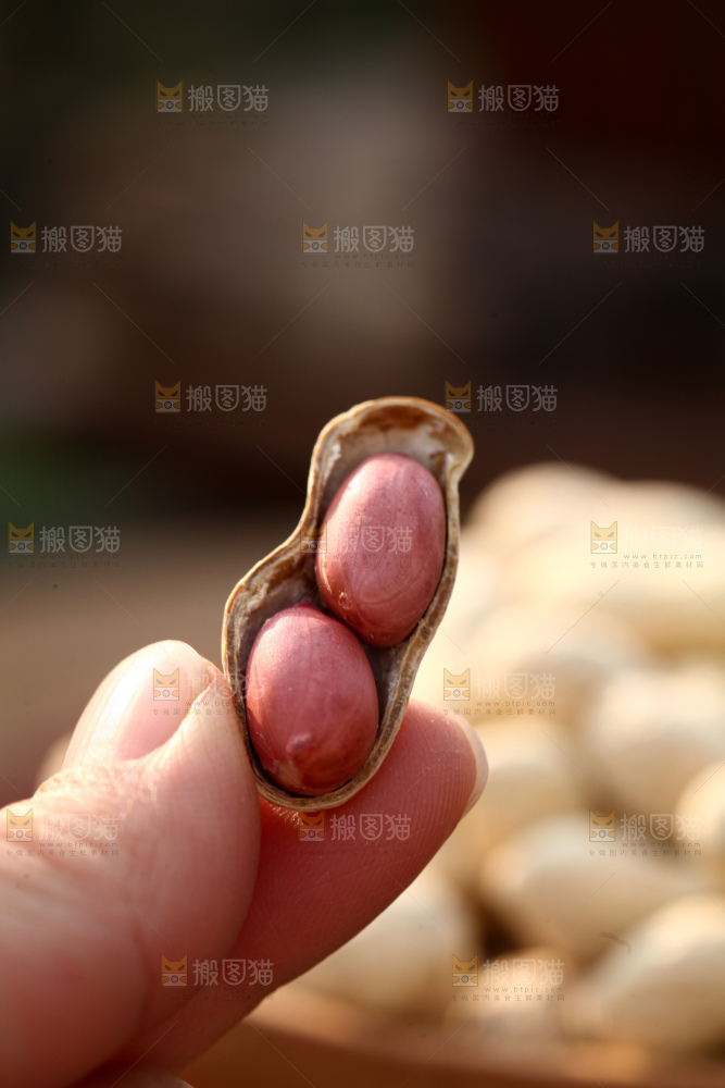 小珍珠花生