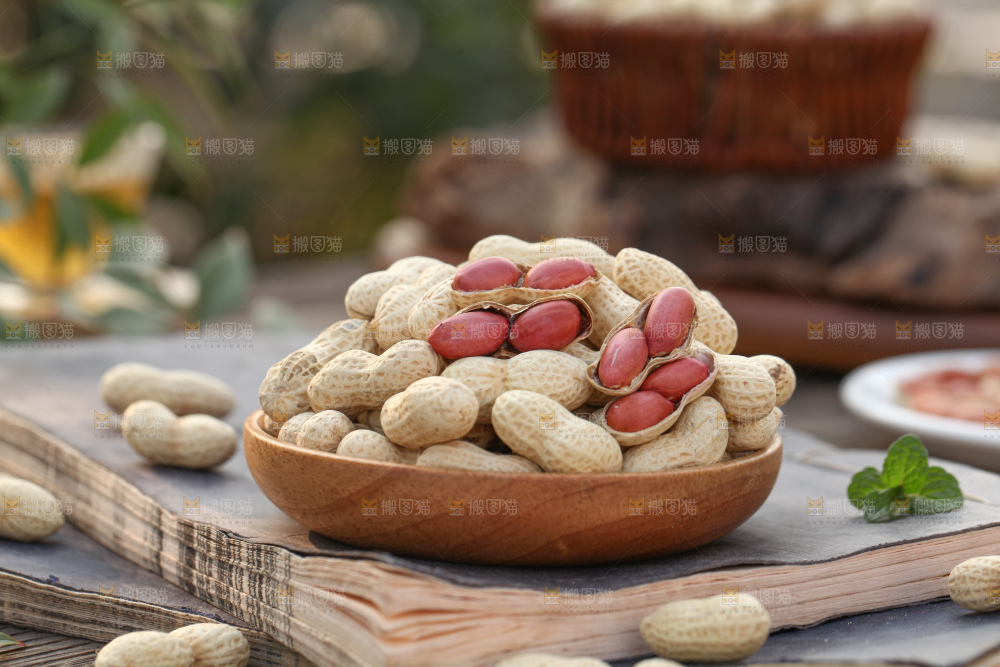 小珍珠花生