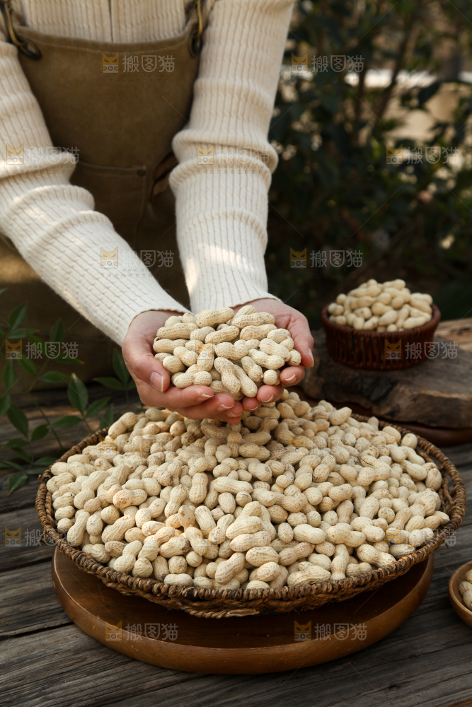 小珍珠花生