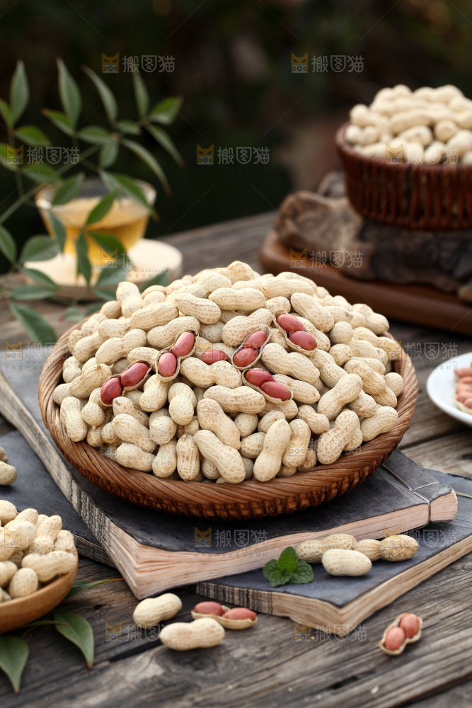 小珍珠花生