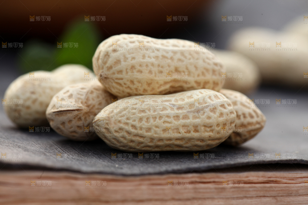 小珍珠花生