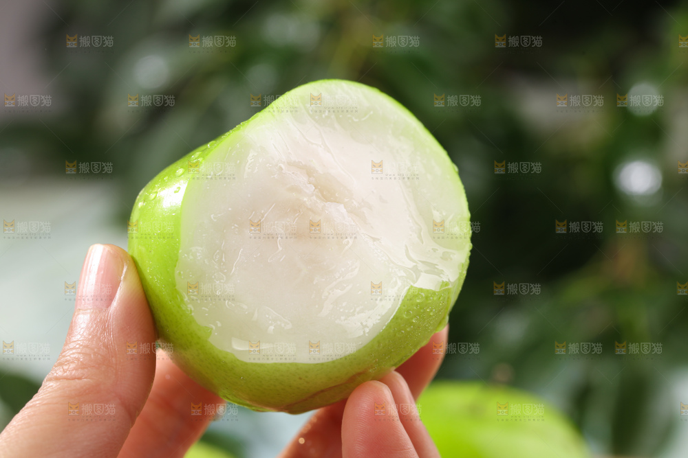 贵妃牛奶枣