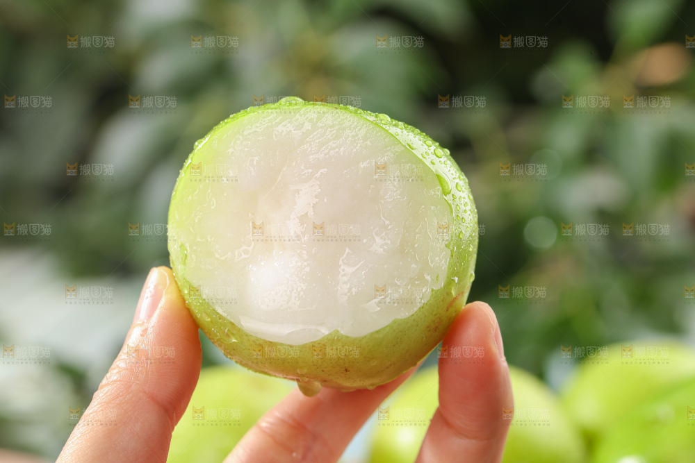 贵妃牛奶枣