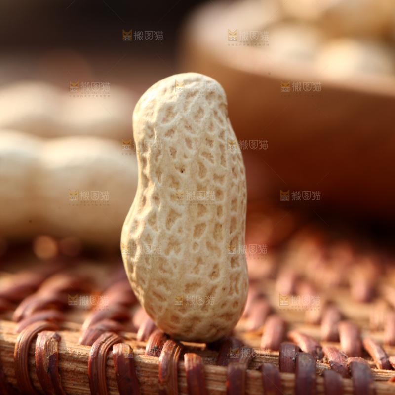 小珍珠花生