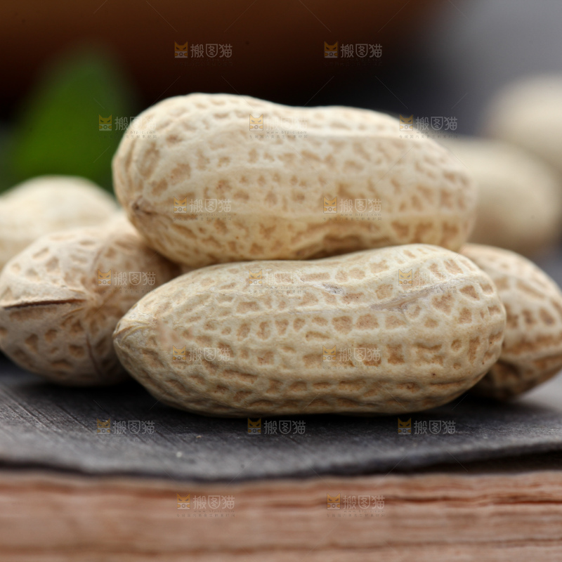 小珍珠花生