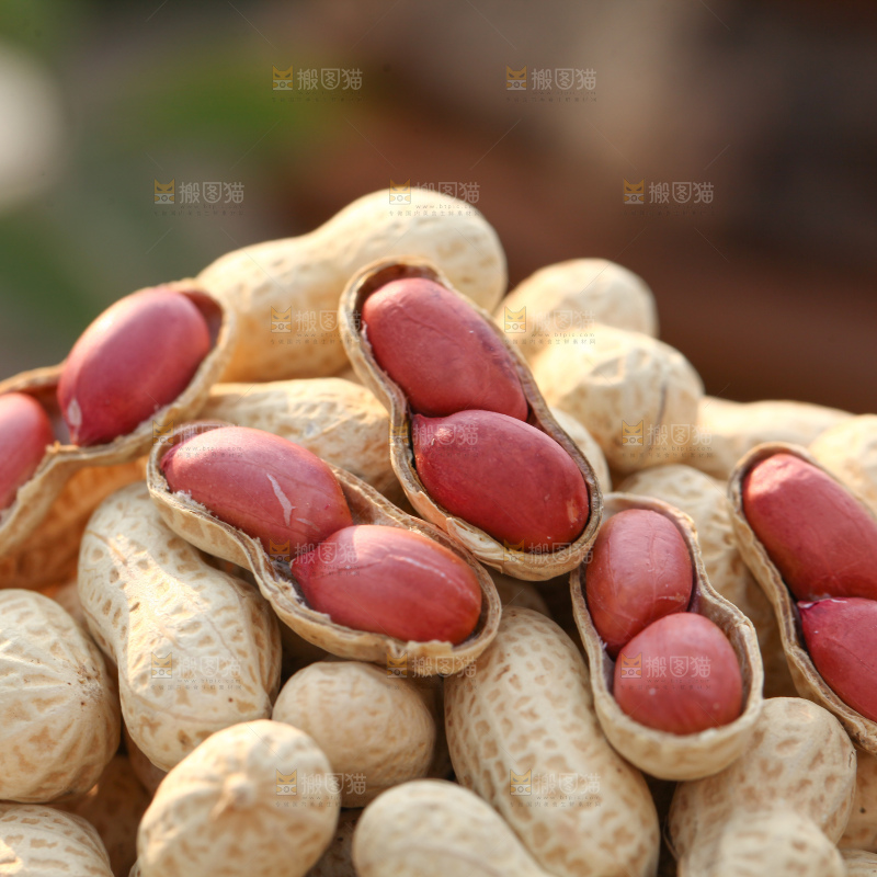 小珍珠花生