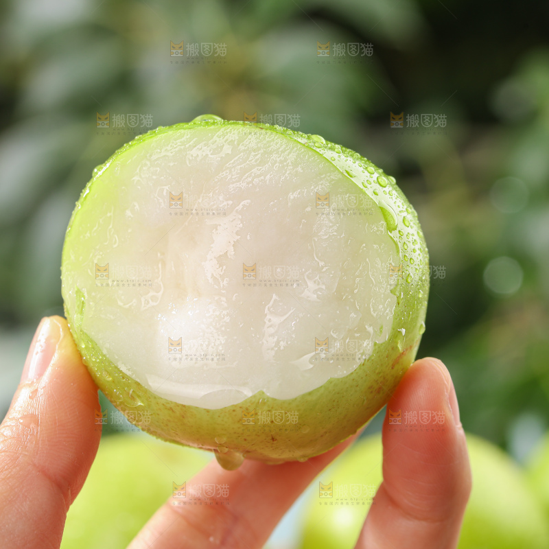 贵妃牛奶枣