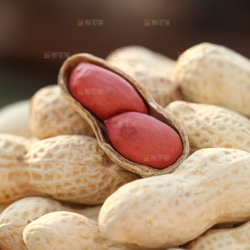小珍珠花生