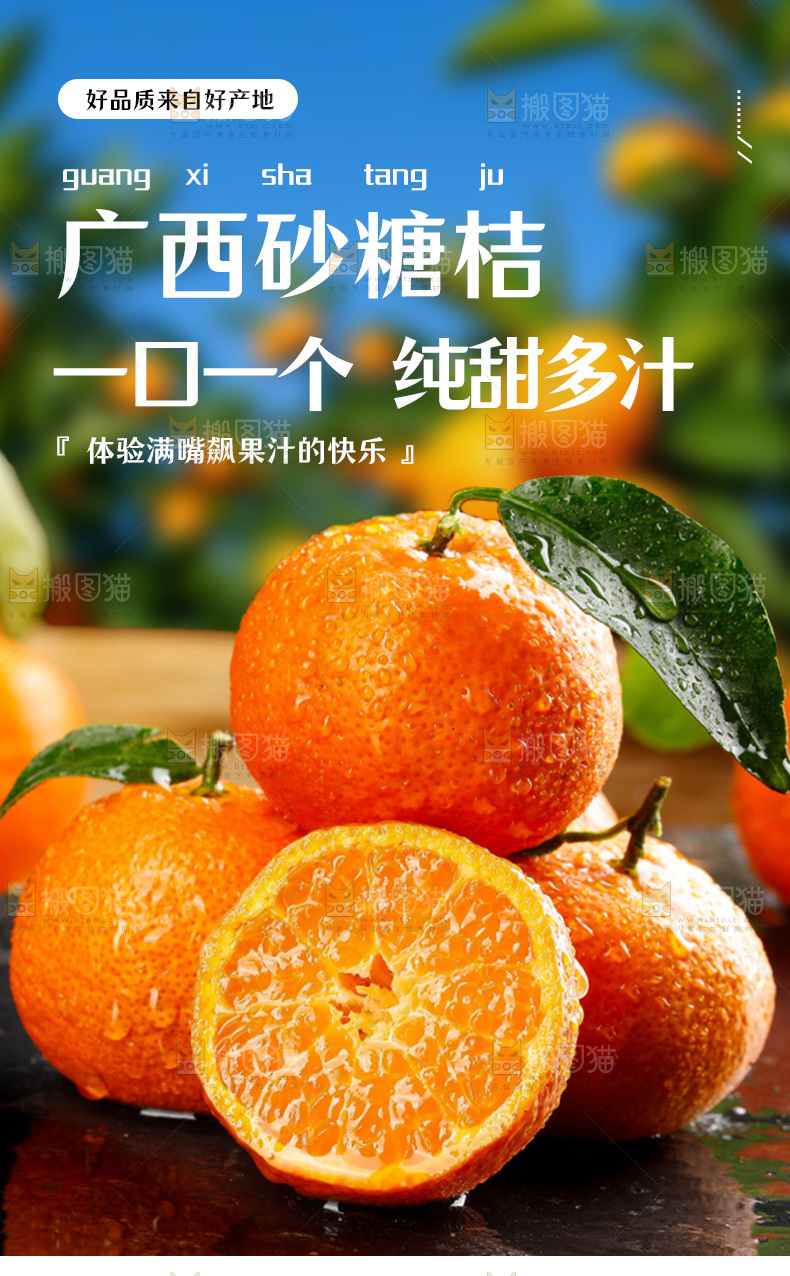 砂糖桔详情页