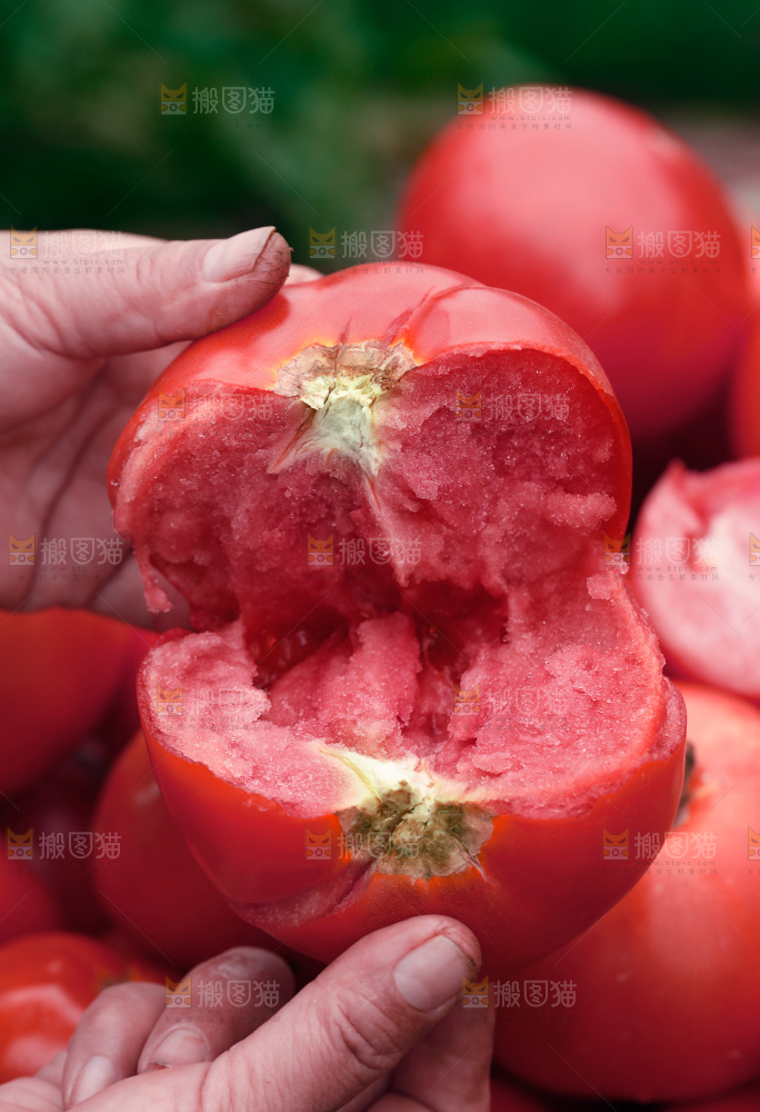 普罗旺斯西红柿