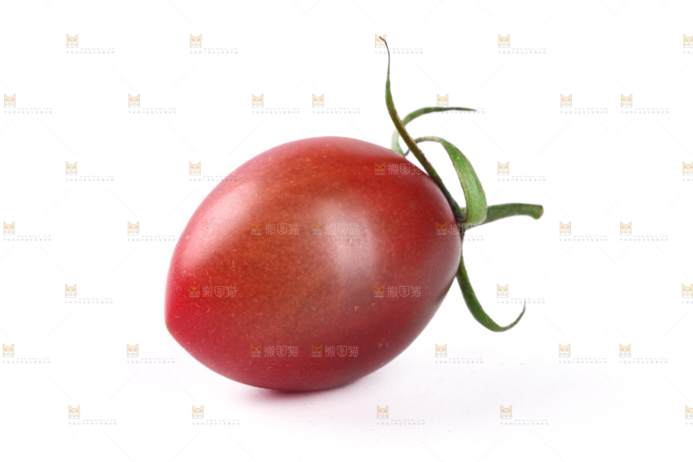 紫弹头小番茄