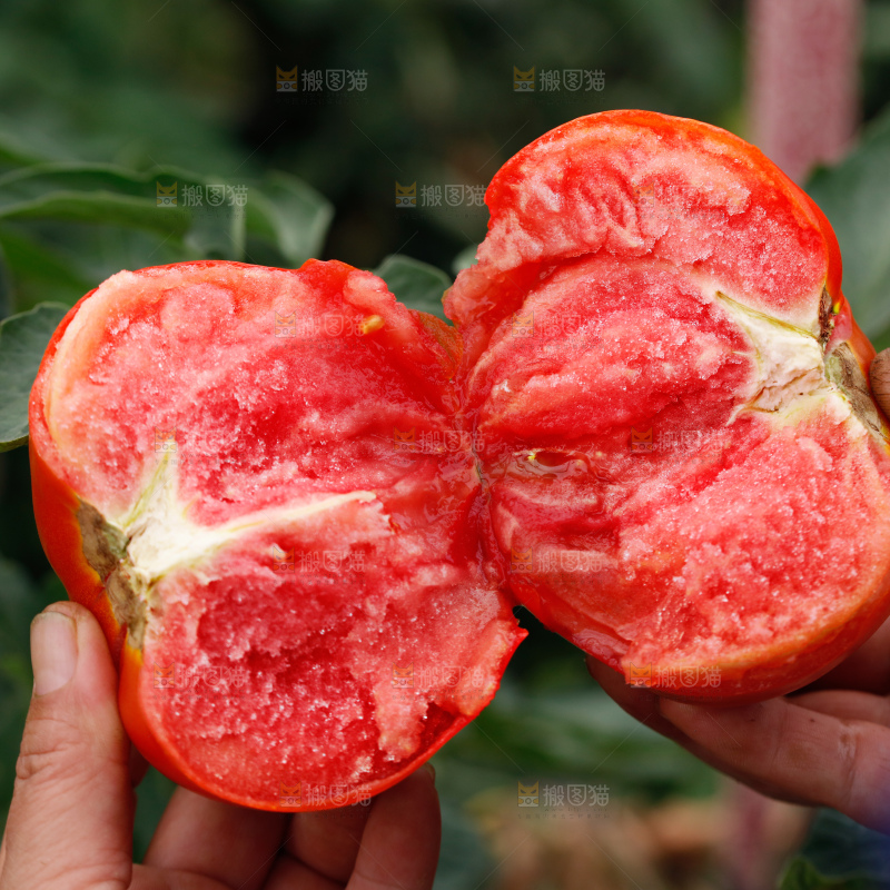 普罗旺斯西红柿