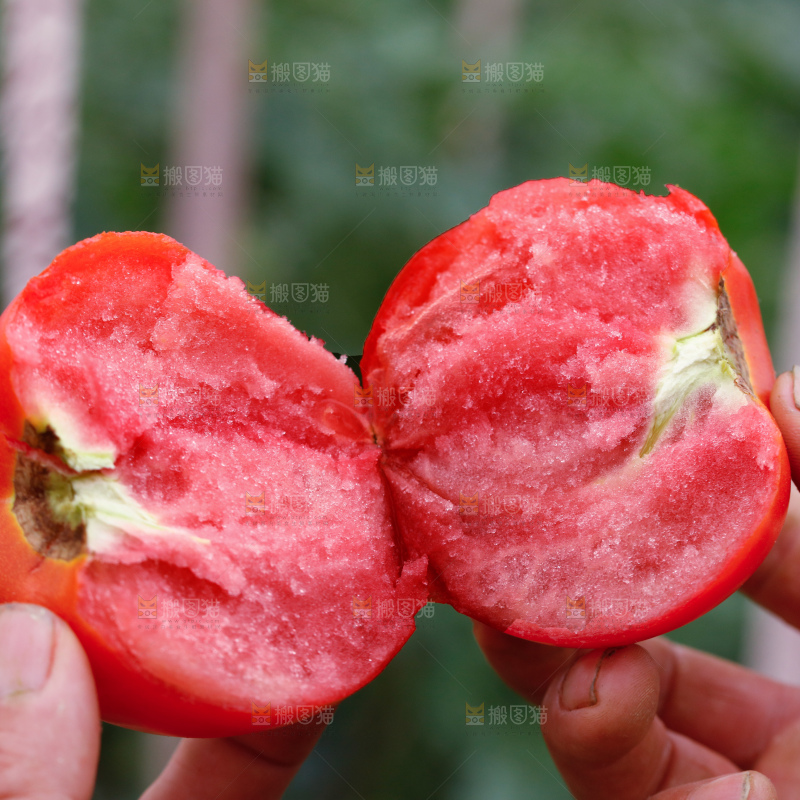 普罗旺斯西红柿