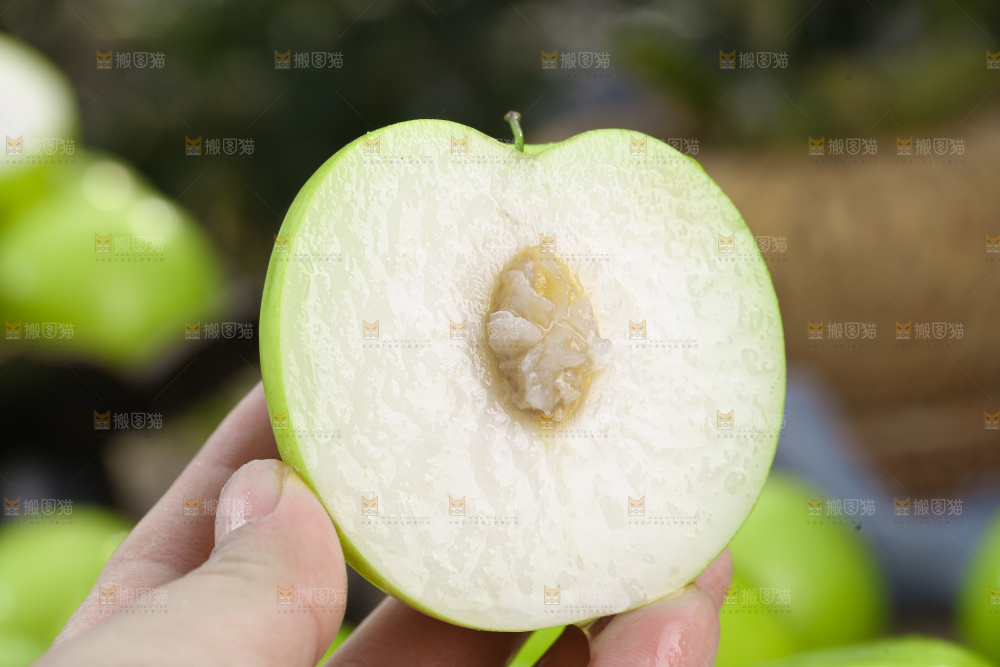 贵妃牛奶枣