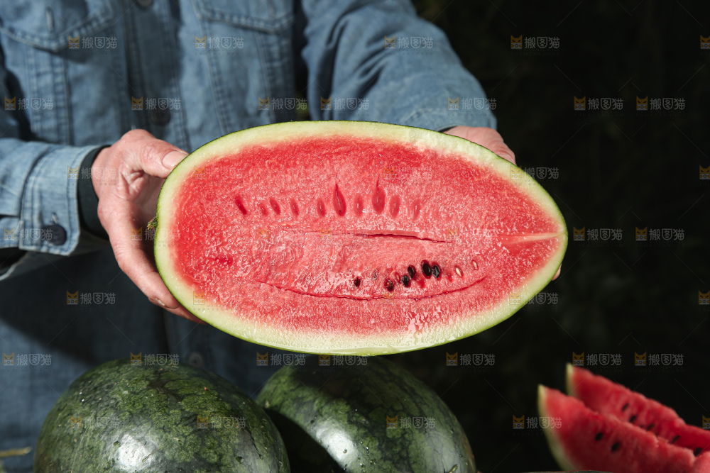 黑美人西瓜
