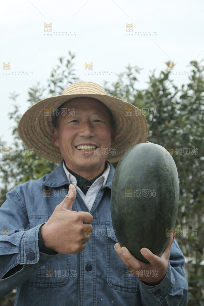黑美人西瓜