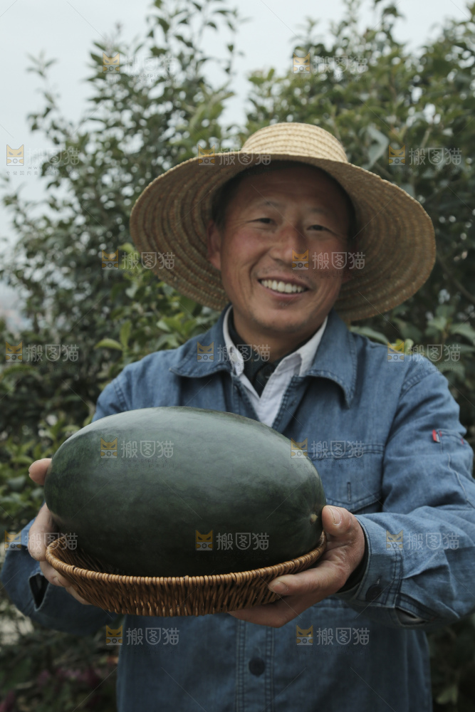 黑美人西瓜