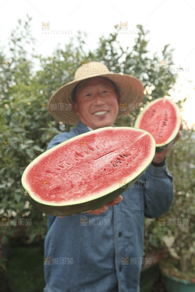 黑美人西瓜
