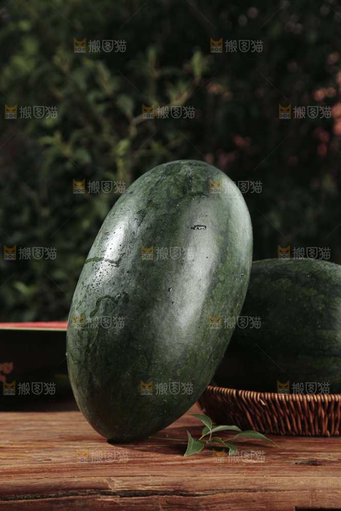 黑美人西瓜
