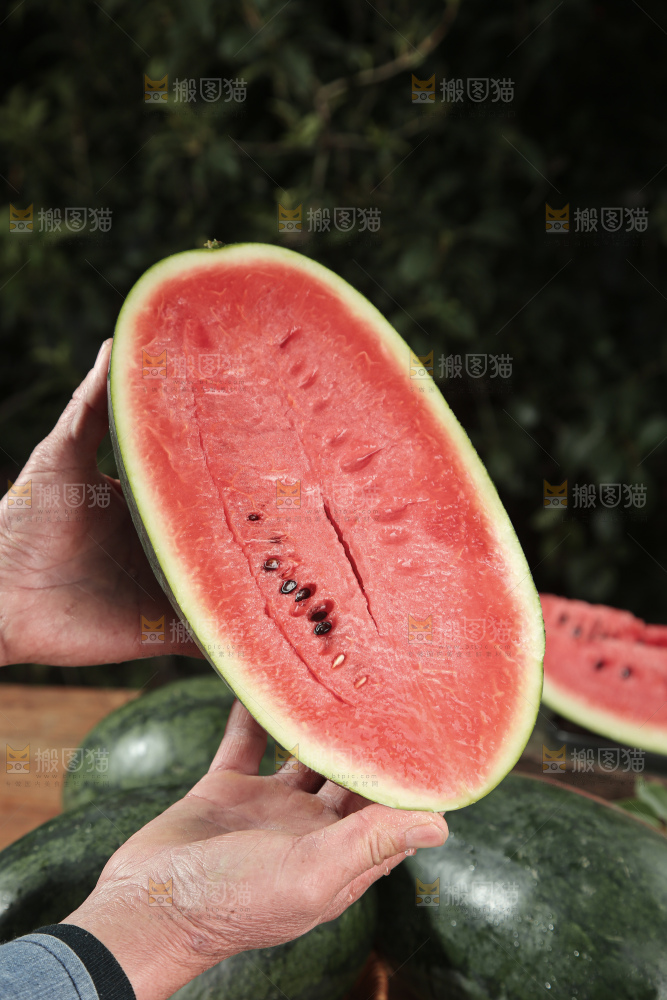 黑美人西瓜