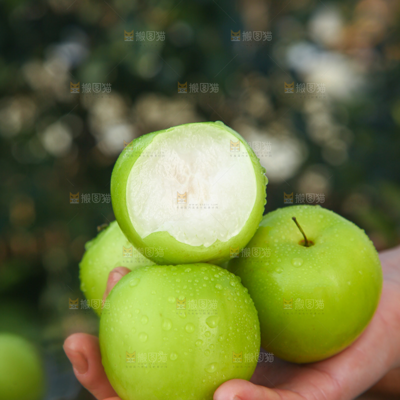 贵妃牛奶枣