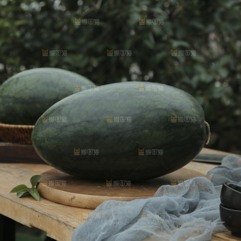 黑美人西瓜