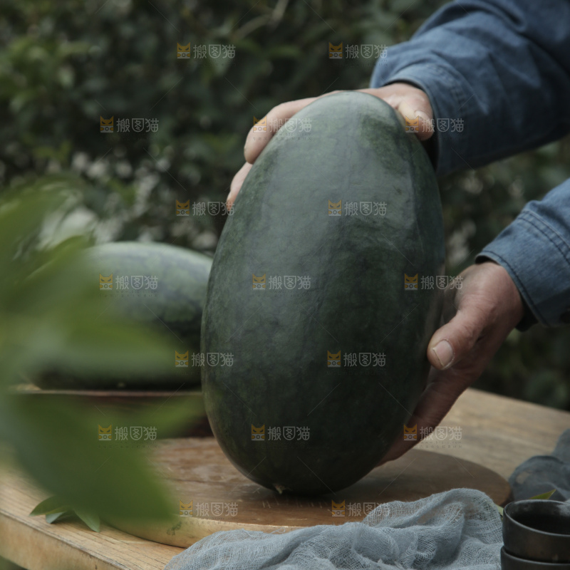 黑美人西瓜