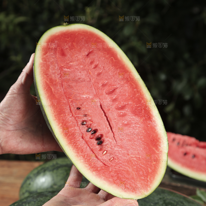 黑美人西瓜