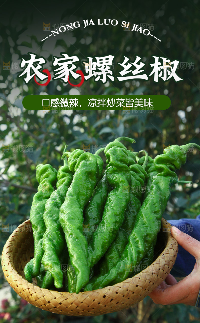 螺丝椒详情页