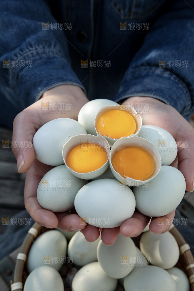 绿壳鸡蛋