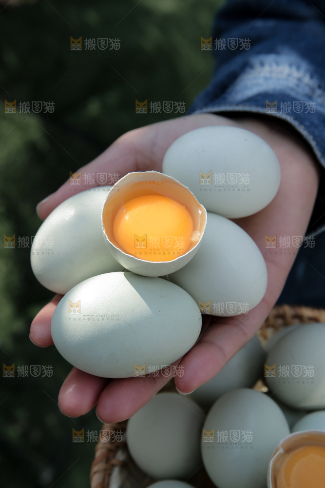 绿壳鸡蛋
