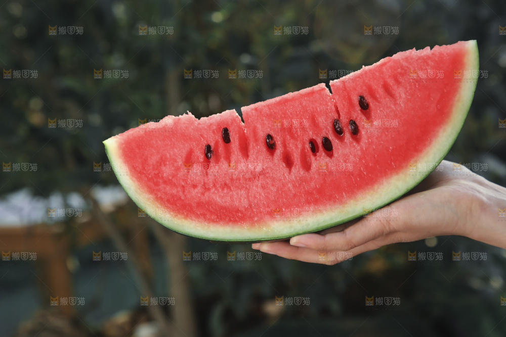 黑美人西瓜