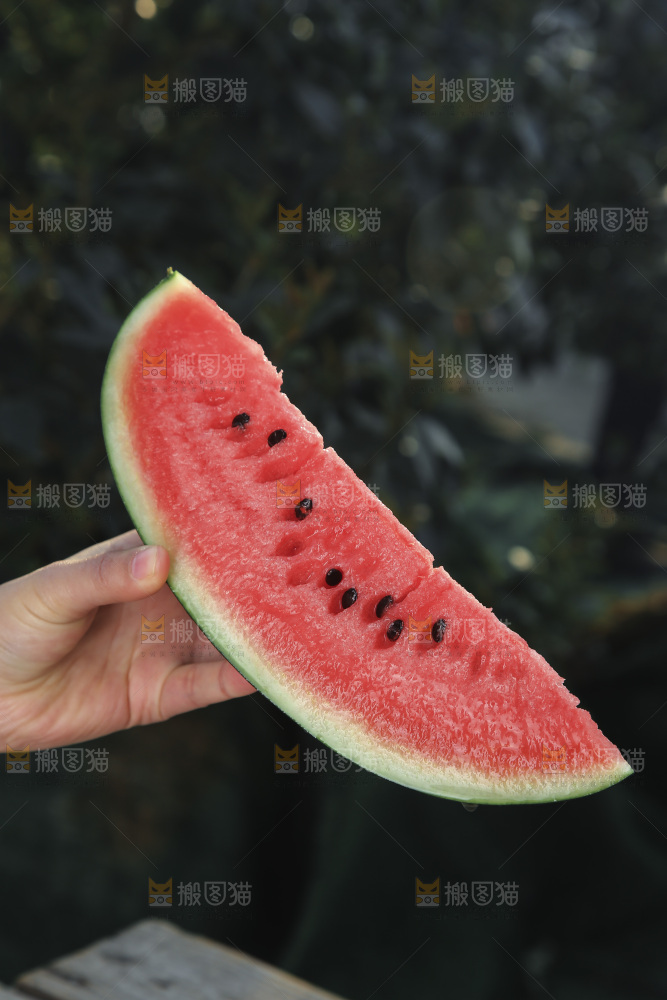 黑美人西瓜