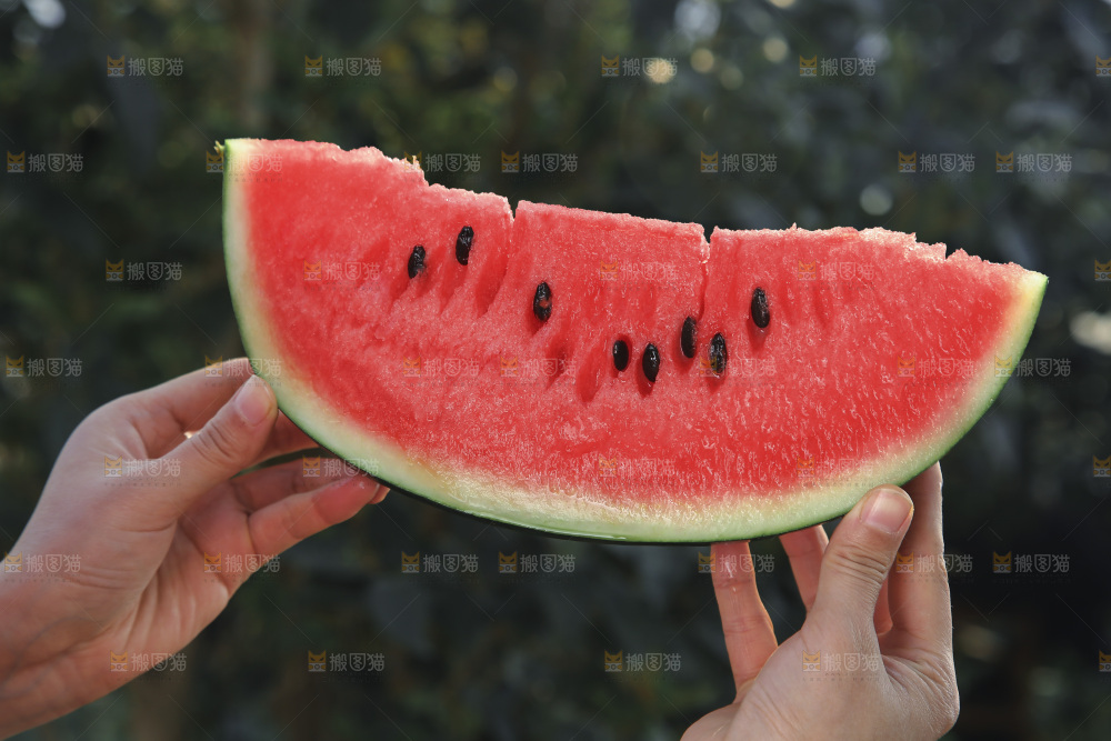 黑美人西瓜