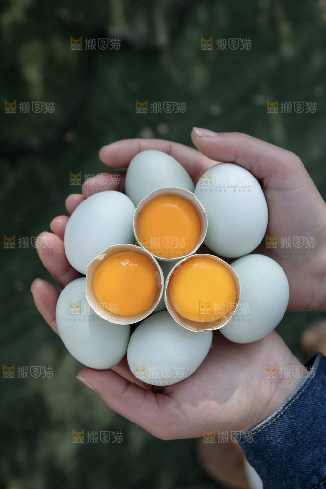 绿壳鸡蛋
