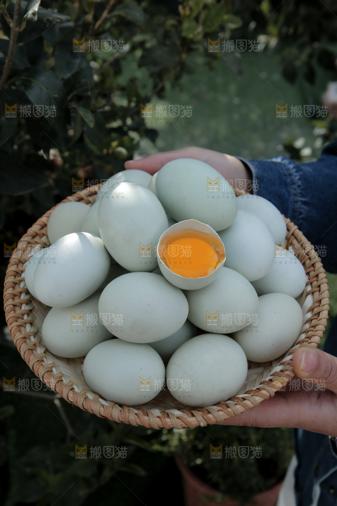绿壳鸡蛋