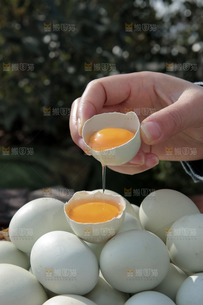 绿壳鸡蛋