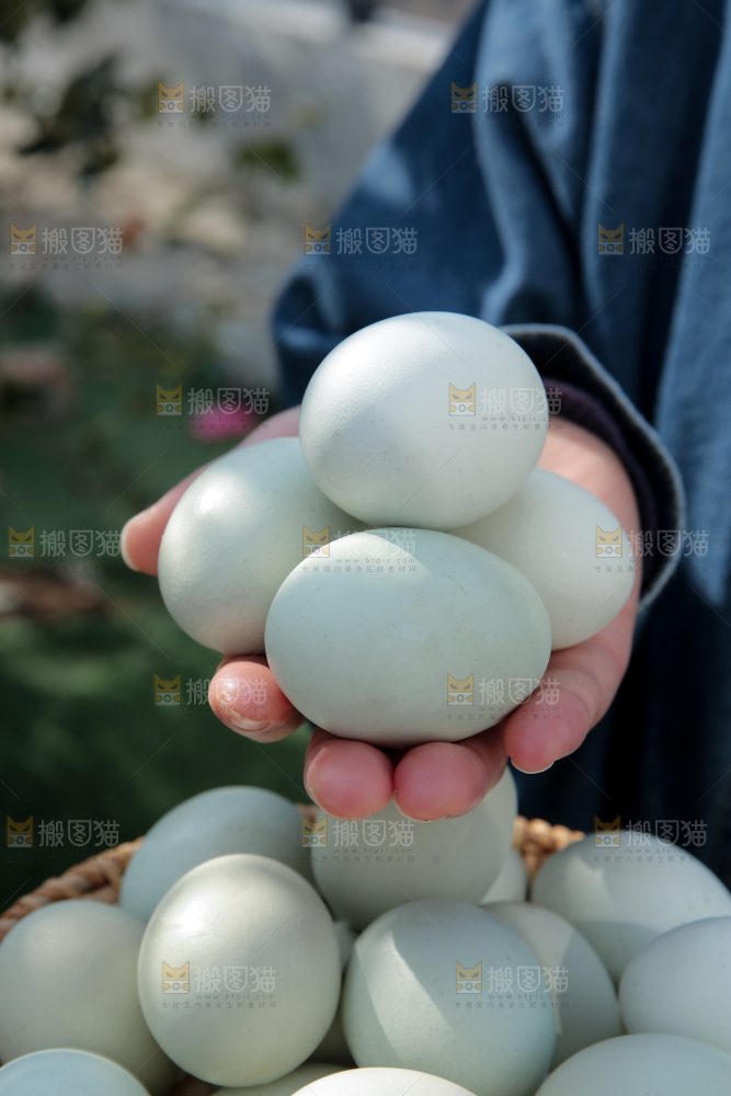 绿壳鸡蛋