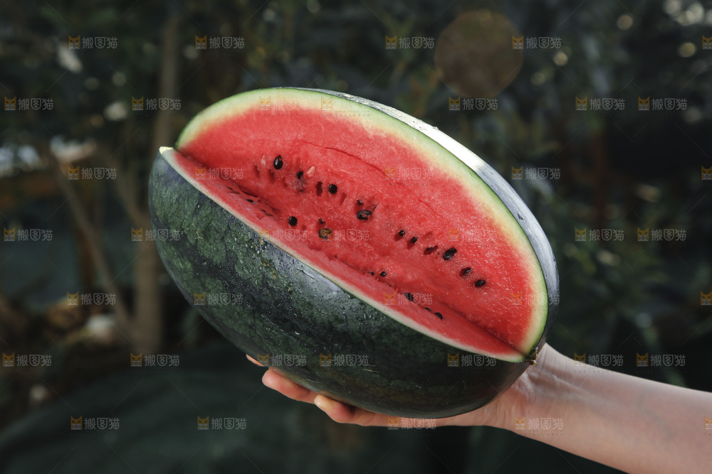 黑美人西瓜