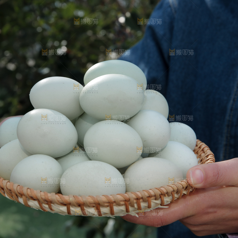 绿壳鸡蛋