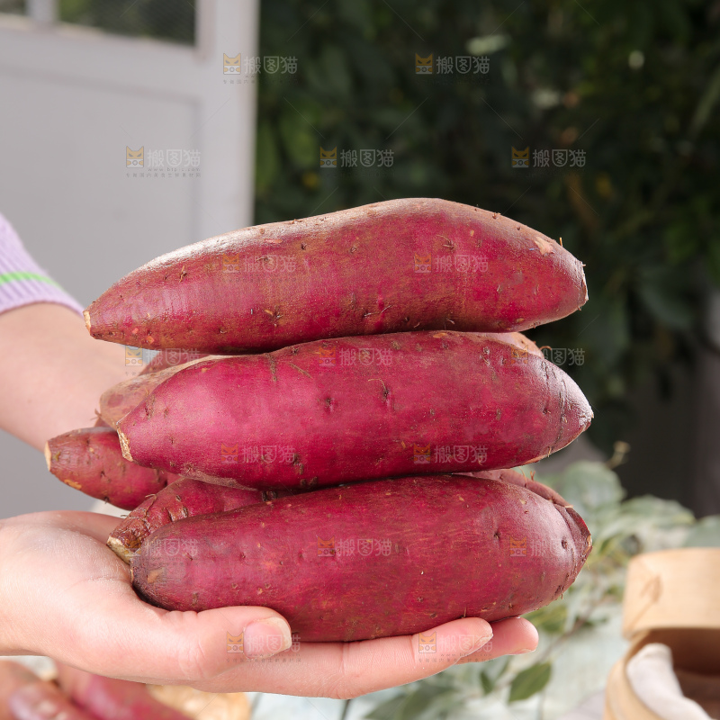 榴莲蜜薯