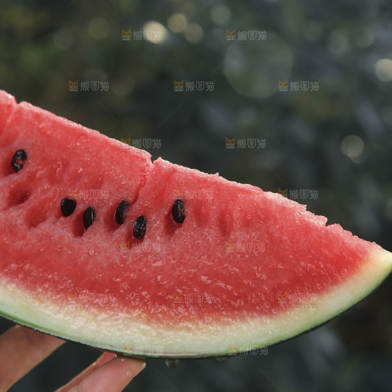 黑美人西瓜