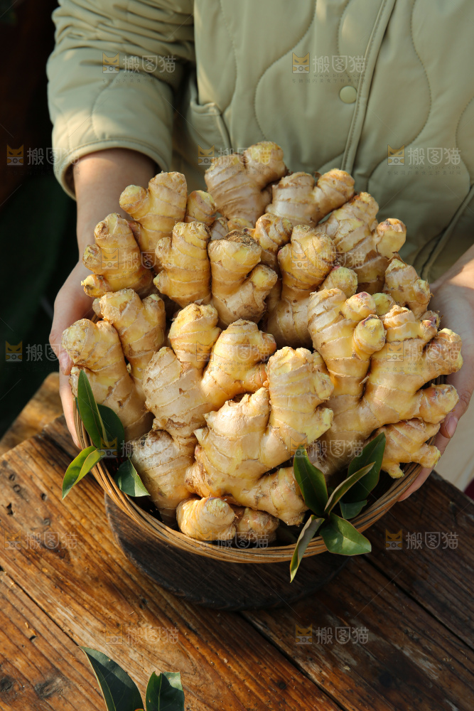 小黄姜