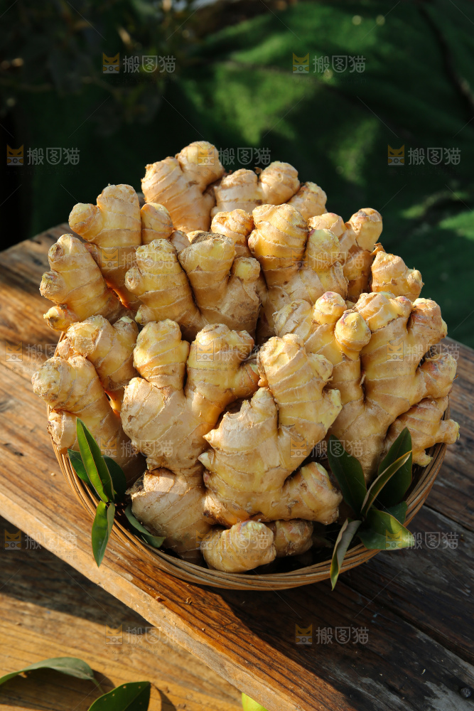 小黄姜