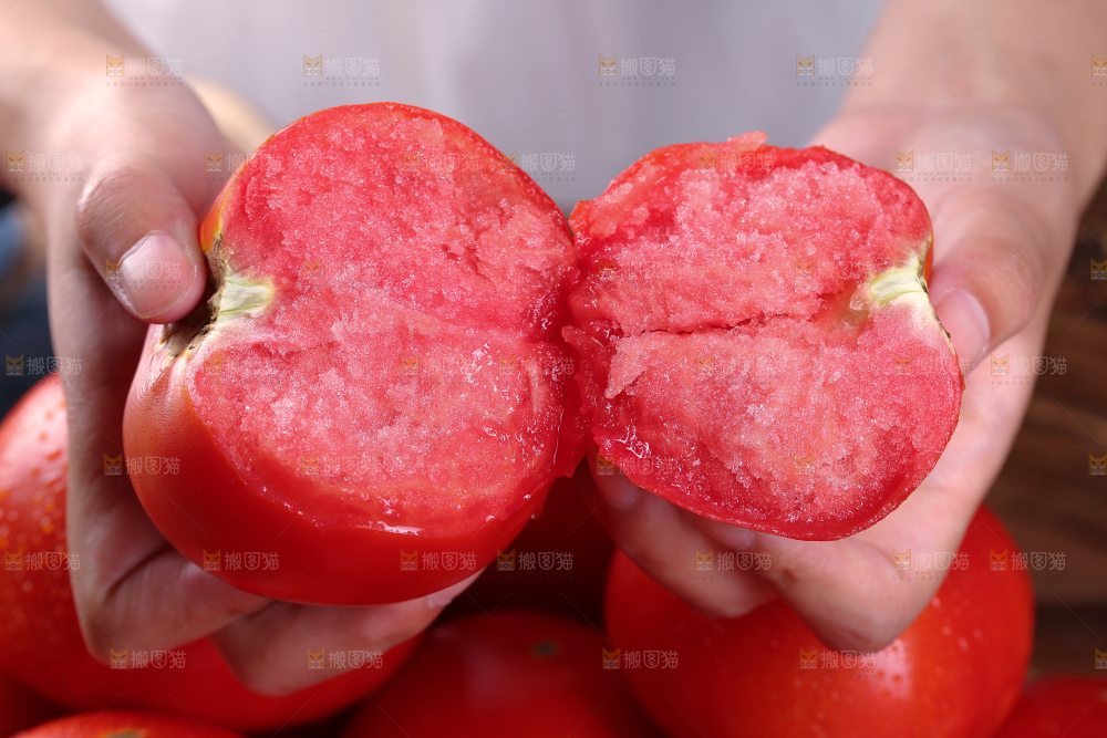 普罗旺斯西红柿