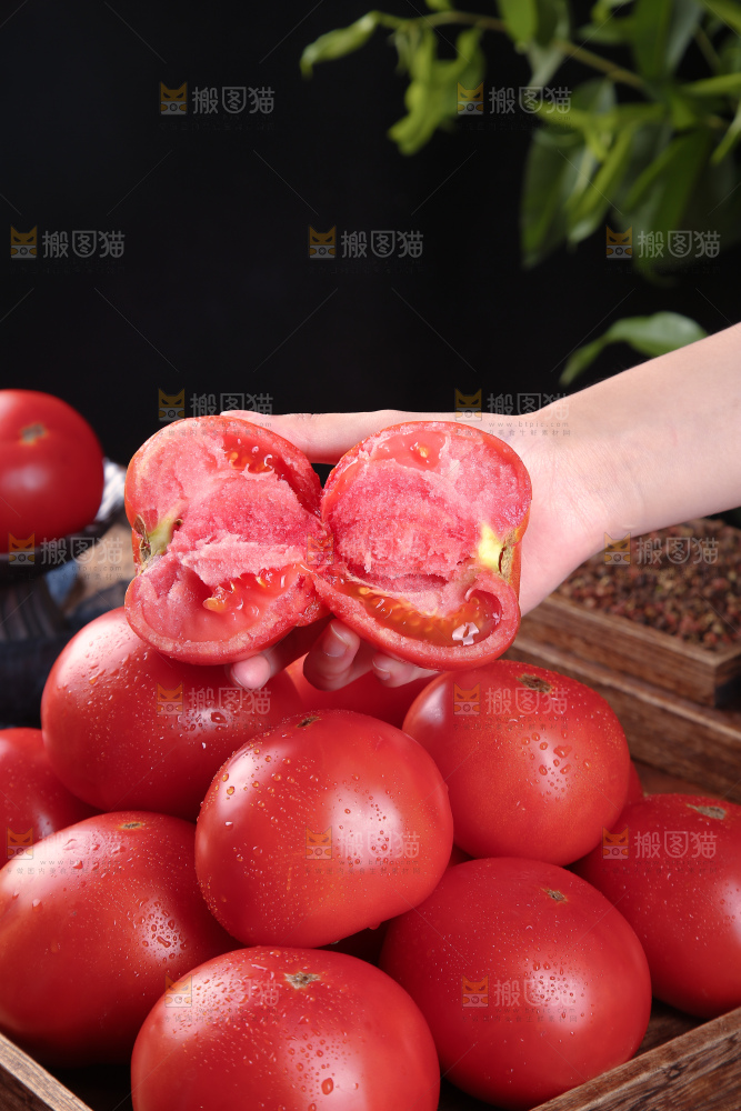 普罗旺斯西红柿