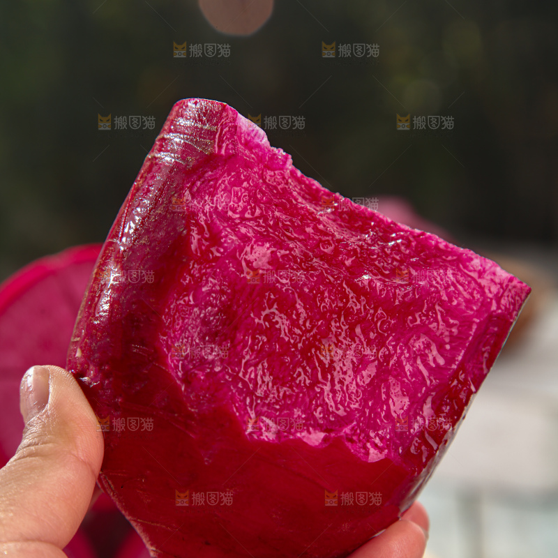 紫美人萝卜